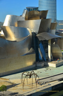 Guggenheim Bilbao (AJP 2928)