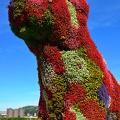 Jeff-Koons-Puppy-Guggenheim-Bilbao AJP2962 250201021837 (394 visits) Jeff-Koons-Puppy-Guggenheim-Bilbao AJP2962 250201021837
