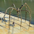 Maman-Guggenheim-Bilbao AJP2912 250201021838
