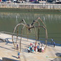 A group stopping under Maman the spider