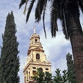 Torre del Alminar 