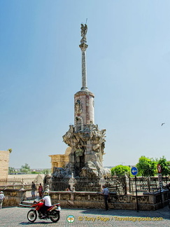 AJP 5552