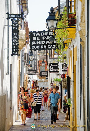 AJP 5573 (845 visits) AJP 5573