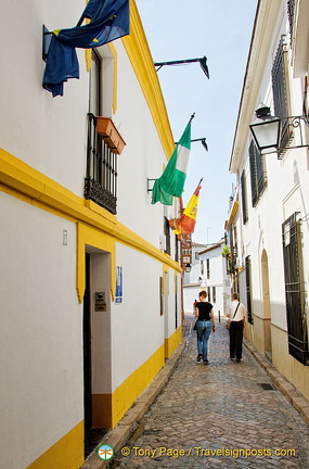 AJP 5588 (735 visits) AJP 5588