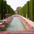 Alcazar de los Reyes Cristianos - water terraces adding to the tranquility of the gardens 
[Cordoba - Spain]