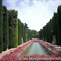 Alcazar de los Reyes Cristianos
[Cordoba - Spain]