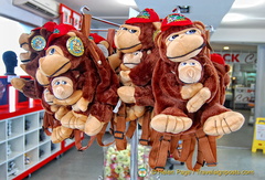 These apes you can hug