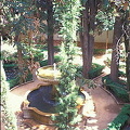 View of the garden