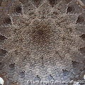 The Alhambra