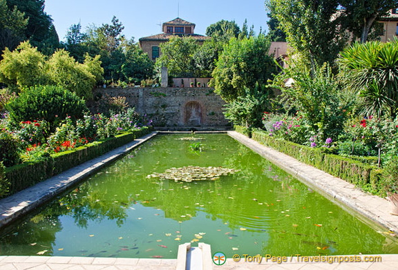 Palacio del Partal: Large pool in front of the Partal Palace portico