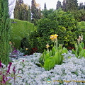 Lower Gardens: Flower bed