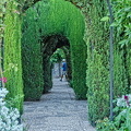 Generalife Gardens: Thick cypress hedges form the walls of the Lower Garden