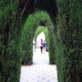 The secret gardens of the Generalife