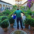 Palace of the Generalife: Gardener at work in the Patio de la Acequia