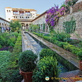 Palace of the Generalife: The Court of the Main Canal is a long and narrow court