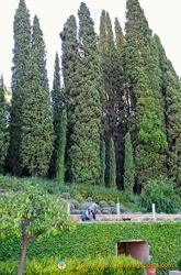 Generalife Lower Gardens