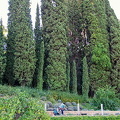 Generalife Lower Gardens