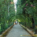 Promenade of the Orleanders: As the name suggests, this long path is lined with oleander.