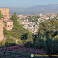 View of the Alhambra towers and Albaicin