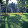 [Madrid - Spain]