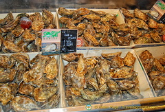 Fine de Claire oysters at Euro 1.4 each