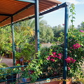 The lovely gardens of Hacienda Merrha