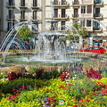 Beautiful floral garden and fountain