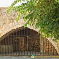 DSC 7948