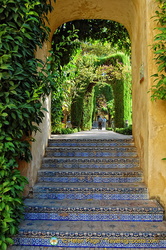 Glazed tile steps to the Jardín  del Estanque