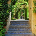 Glazed tile steps to the Jardín  del Estanque