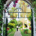 Looking into the palm court of Hacienda Los Miradores