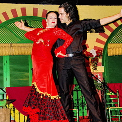 Seville Palacio Andaluz - Home of Flamenco