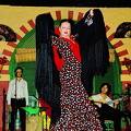She is a leading Seville flamenco dancer
