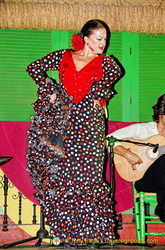 The star flamenco dancer at Palacio Andaluz