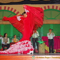 Flamenco dancer in full flight