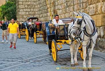 Plaza Virgen de los Reyes is where you'll find many of these horse-drawn carriages.