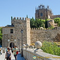 The Monasterio San Juan de los Reyes overlooking San Martin Bridge