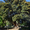 AJP 4077