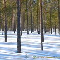 Sweden