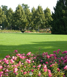 Berne Bear Pits and Rose Garden