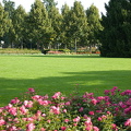 Berne Bear Pits and Rose Garden