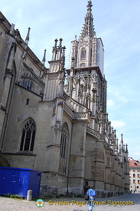 DSC 2443 (858 visits) DSC 2443