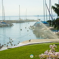 Lac Leman Road to Geneva