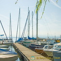 Lac Leman Road to Geneva