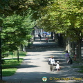 Geneva and Lac Leman
