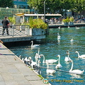 Geneva and Lac Leman