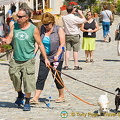 Gruyeres