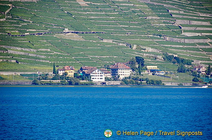 Lac Leman cruise to Montreux