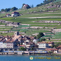 Lac Leman cruise to Montreux