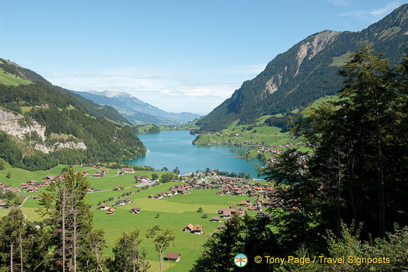 Lucerne (1072 visitas) Lucerne